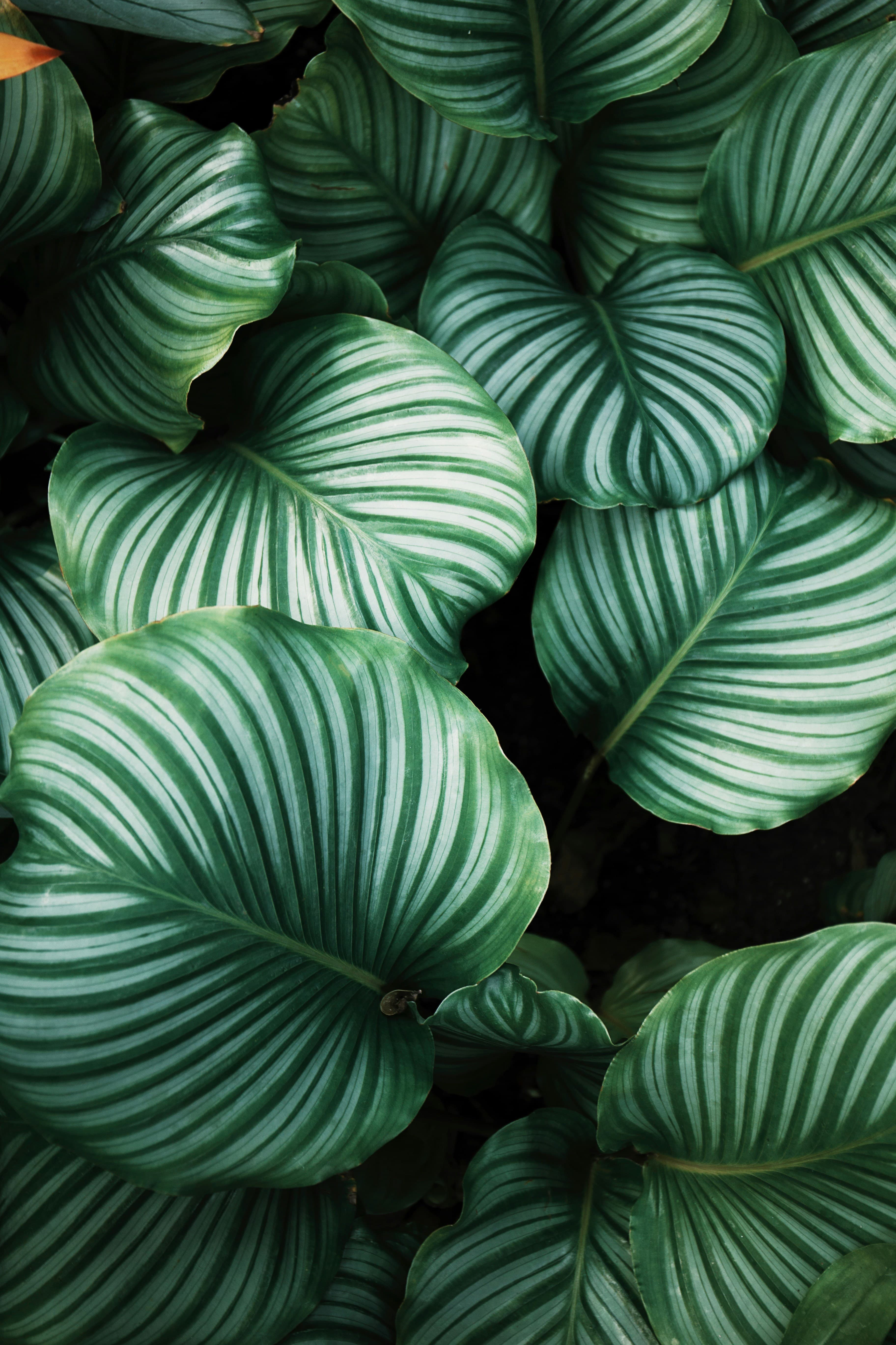 The GFX100RF’s Leaf Shutter Lens Will Remain Unique in the GFX System