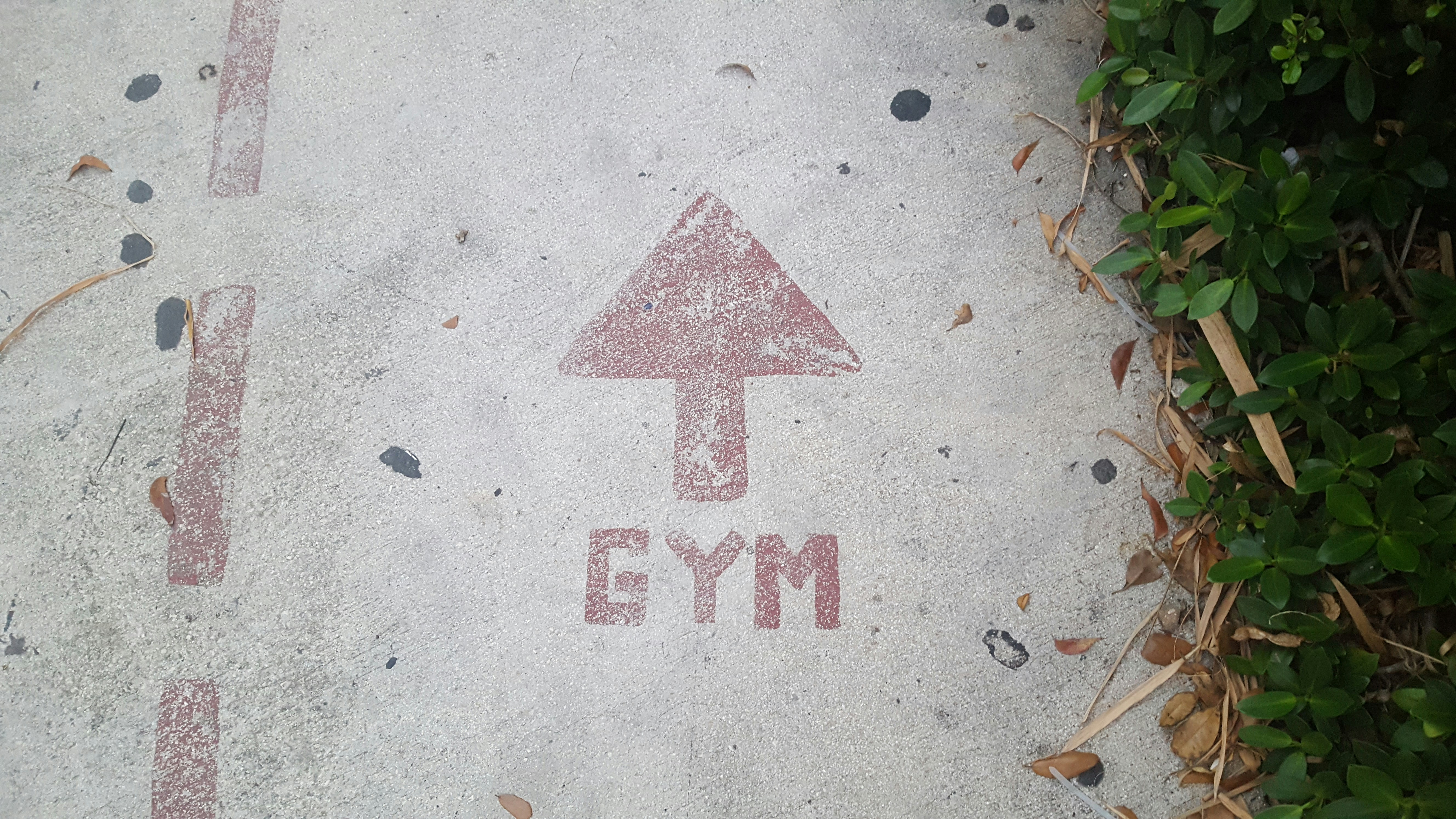 Related photo 3